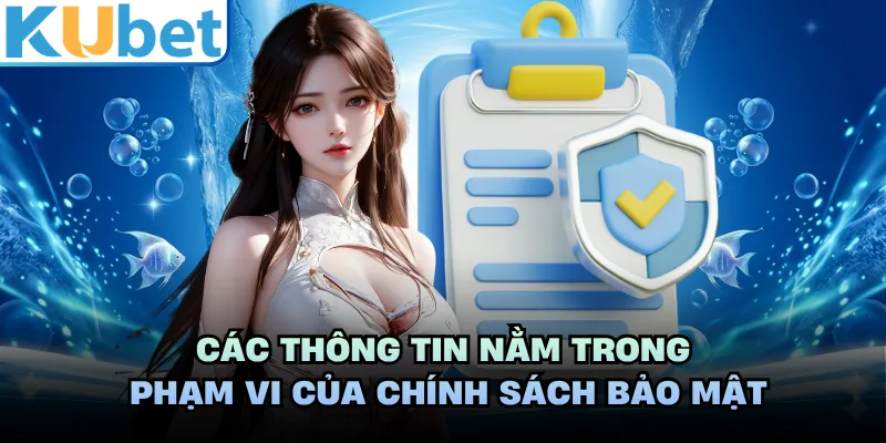 Các thông tin nằm trong phạm vi của chính sách bảo mật