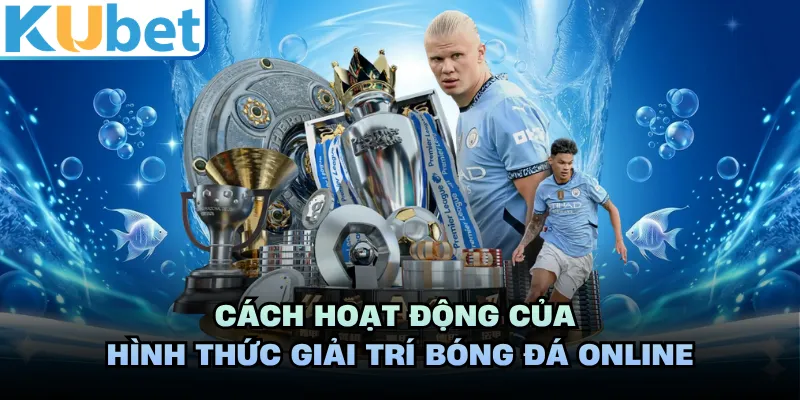 Cách hoạt động của hình thức giải trí bóng đá online