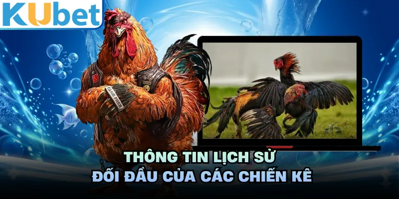 Thông tin lịch sử đối đầu của các chiến kê