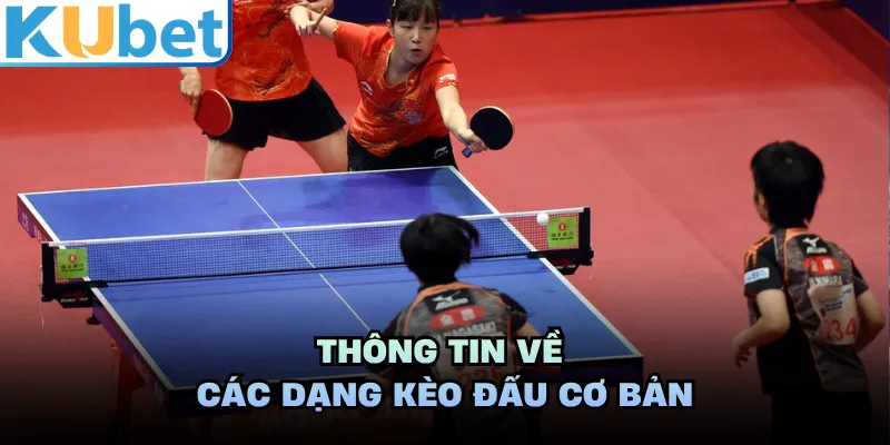 Thông tin về các dạng kèo đấu cơ bản